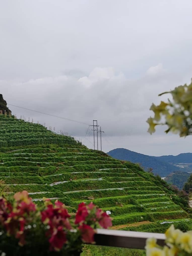 Kensington Sunrise Sg, Palas Horizon,Kea Farm บรินชัง ภายนอก รูปภาพ