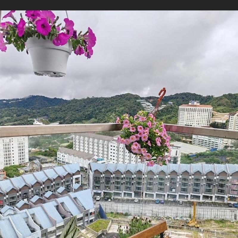 Kensington Sunrise Sg, Palas Horizon,Kea Farm บรินชัง ภายนอก รูปภาพ