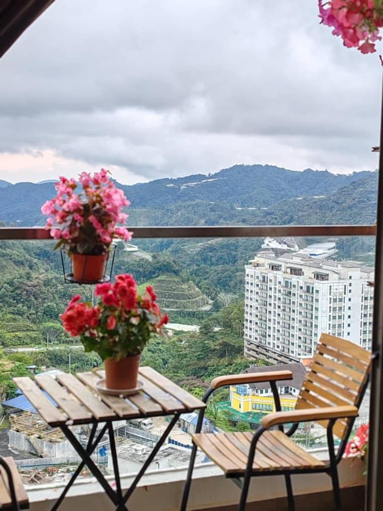 Kensington Sunrise Sg, Palas Horizon,Kea Farm บรินชัง ภายนอก รูปภาพ