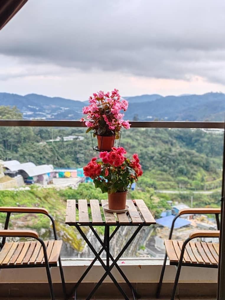 Kensington Sunrise Sg, Palas Horizon,Kea Farm บรินชัง ภายนอก รูปภาพ