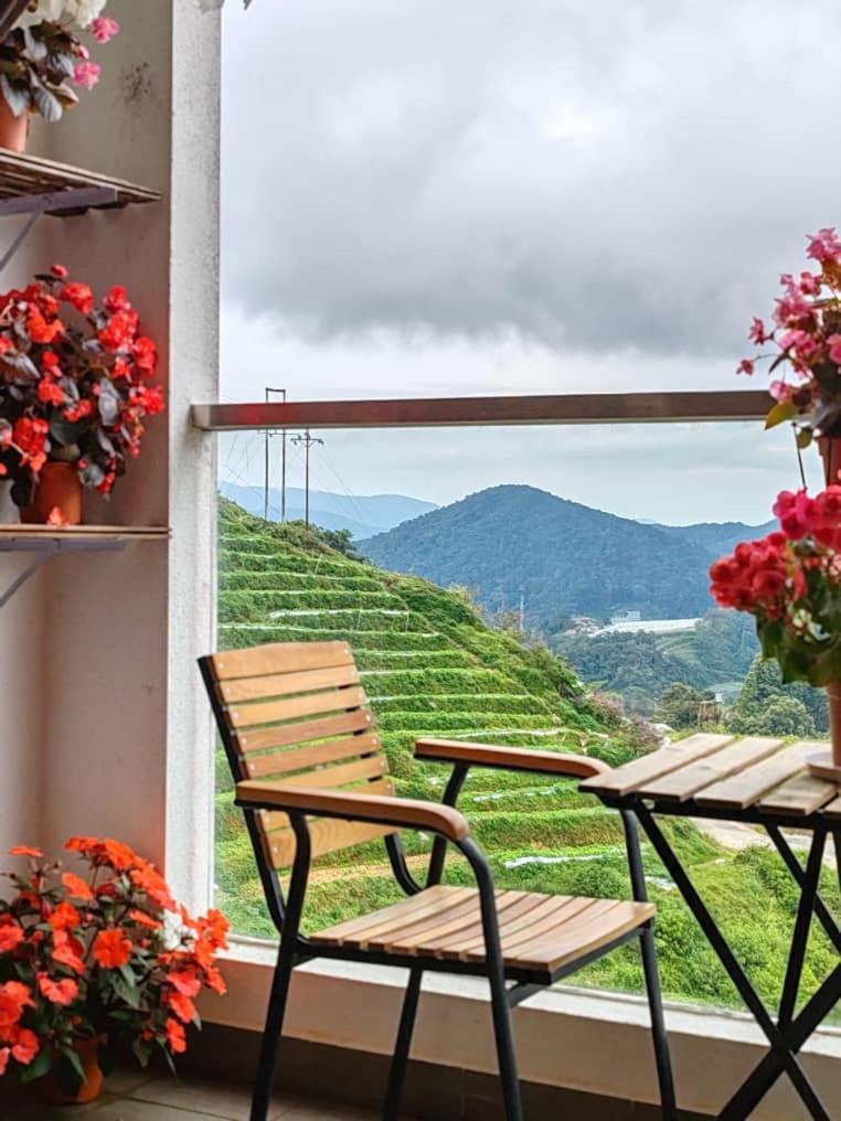 Kensington Sunrise Sg, Palas Horizon,Kea Farm บรินชัง ภายนอก รูปภาพ